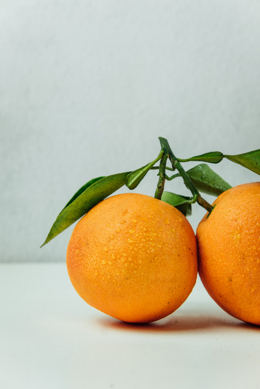 fruttera