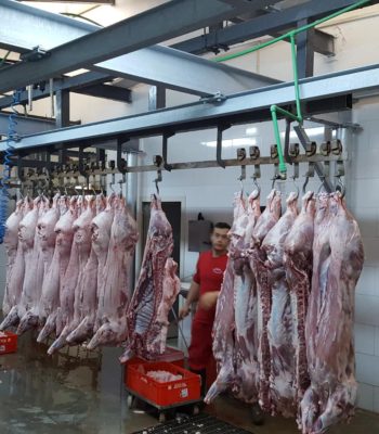 att.bjz-VsyrV3dktttzuaAxUJFqZ_Q-_ztmVYZHk7LLbY0