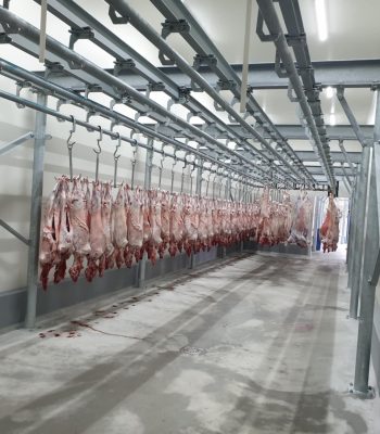 att.jn16QCXuzC8a_QQLcdLqb1aP5irCQq6joUtNE3bj9qM