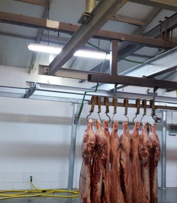 att.pFADShzzmHZc2JamUEaKBnTYej6pmlJofwDeFfDpAWw